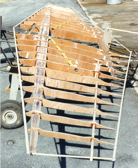 SR-1 Snoshoo Wing - No Skin